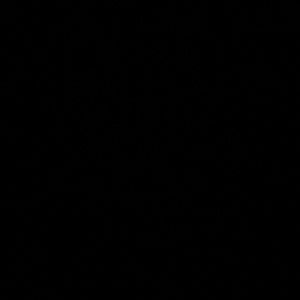 Meet your Posher, Nasser